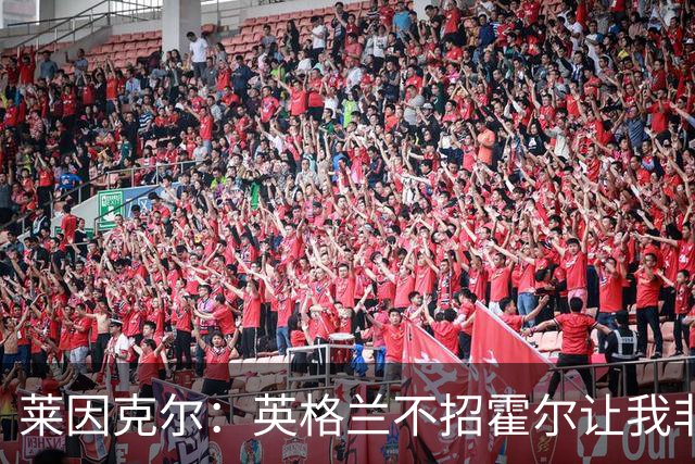莱因克尔：英格兰不招霍尔让我非常不解，为帕尔默落选感到失望